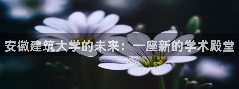 新航sq806娱乐系统