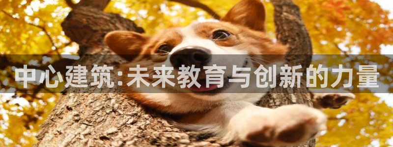张掖新航线娱乐会所：中心建筑:未来教育与创新的力量