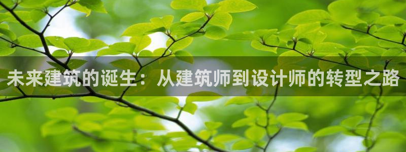新航娱乐官方首页：未来建筑的诞生：从建筑师到设计师的转型之路