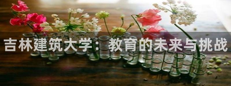 新航文化娱乐传媒招聘：吉林建筑大学：教育的未来与挑战