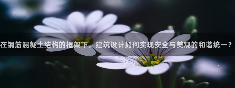 新航娱乐app官方下载：在钢筋混凝土结构的框架下，建筑设计如何实现安全与美观的和谐统一？