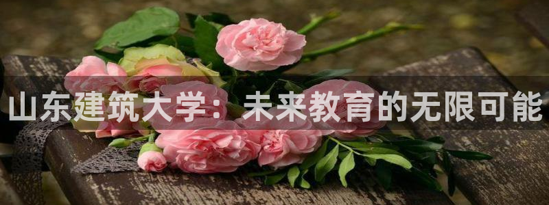 萧山娱乐新航母阿里巴巴：山东建筑大学：未来教育的无限可能