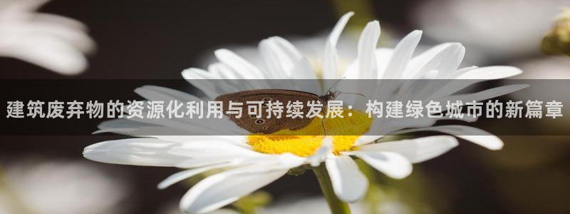 邯大新航娱乐：建筑废弃物的资源化利用与可持续发展：构建绿色城市的新篇章