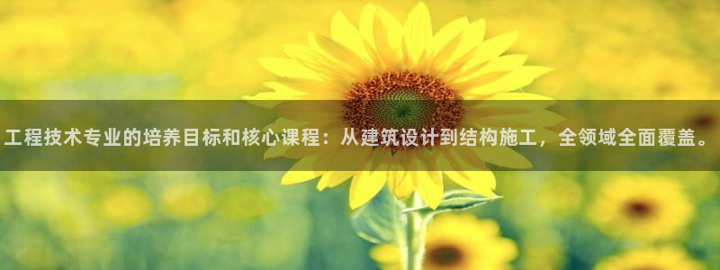 新航sq806娱乐系统：工程技术专业的培养目标和核心课程：从建筑设计到结构施工，全领域全面覆盖。