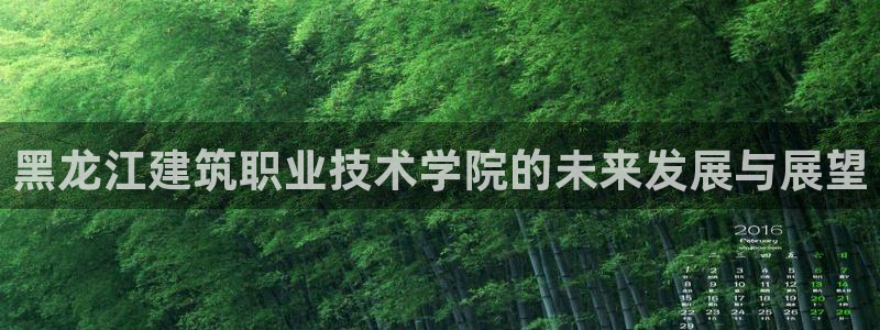 新航娱乐公司艺人招聘：黑龙江建筑职业技术学院的未来发展与展望