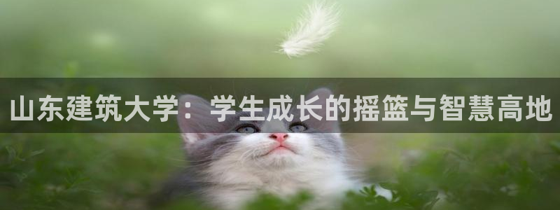 新航面试娱乐：山东建筑大学：学生成长的摇篮与智慧高地