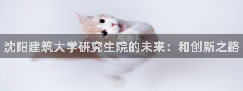 新航机上娱乐：沈阳建筑大学研究生院的未来：和创新之路