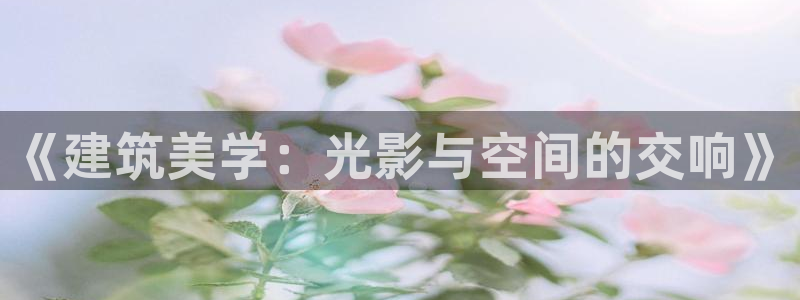 新航足浴娱乐会所：《建筑美学：光影与空间的交响》