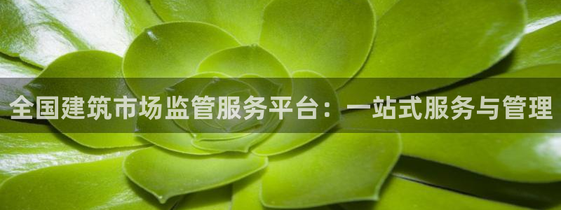 南京新航娱乐：全国建筑市场监管服务平台：一站式服务与管理
