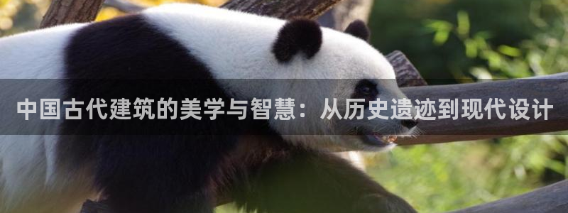 新航娱乐app下载：中国古代建筑的美学与智慧：从历史遗迹到现代设计