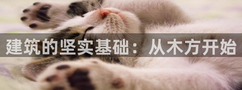 新航娱乐公司问题解决